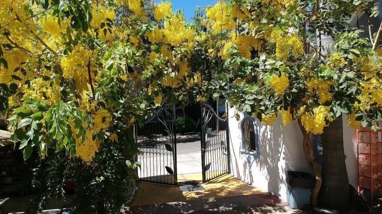Photo of Outdoor in Zapopan