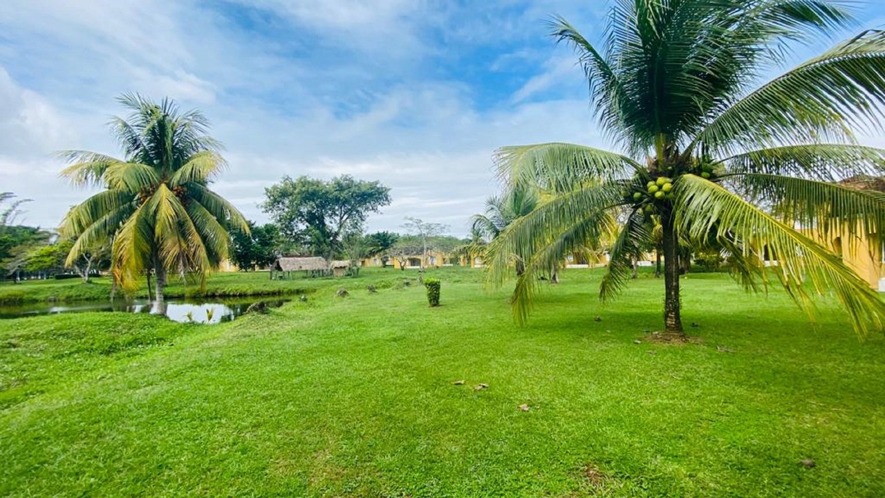 Photo of Outdoor in Puerto Barrios