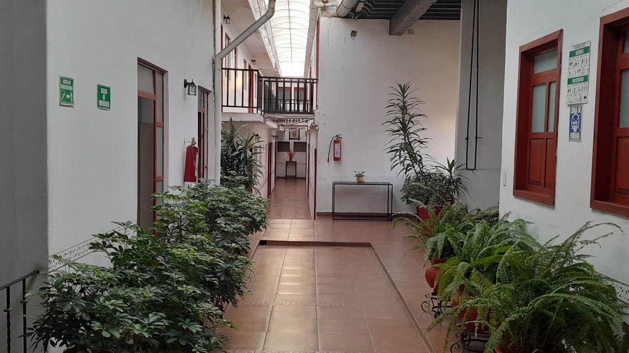 Photo of Others in Centro