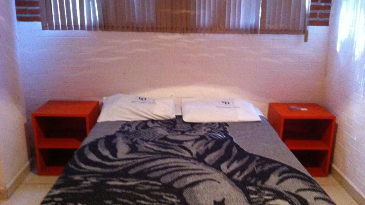 Photo of Bedroom in Coyoacan