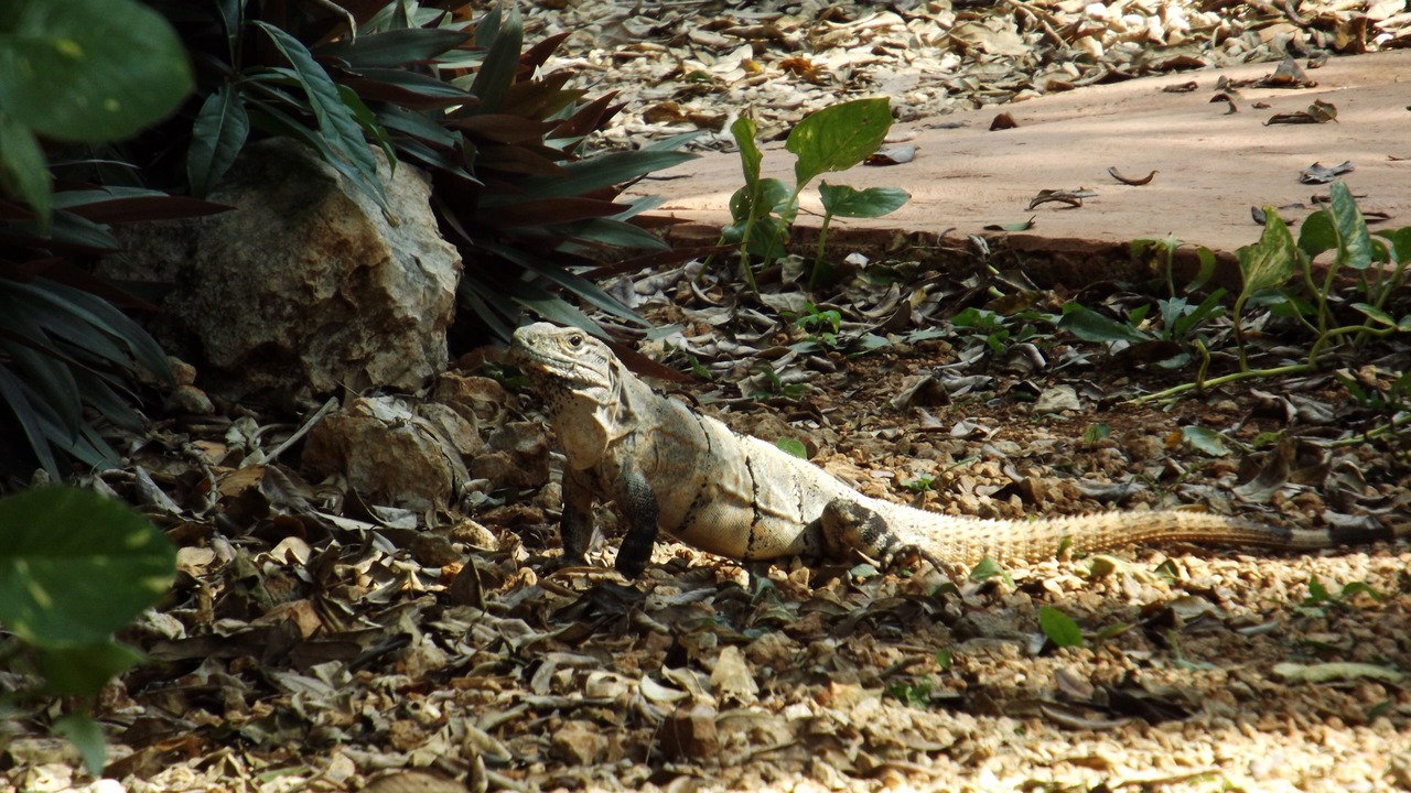 Photo of Outdoor in Santa Elena