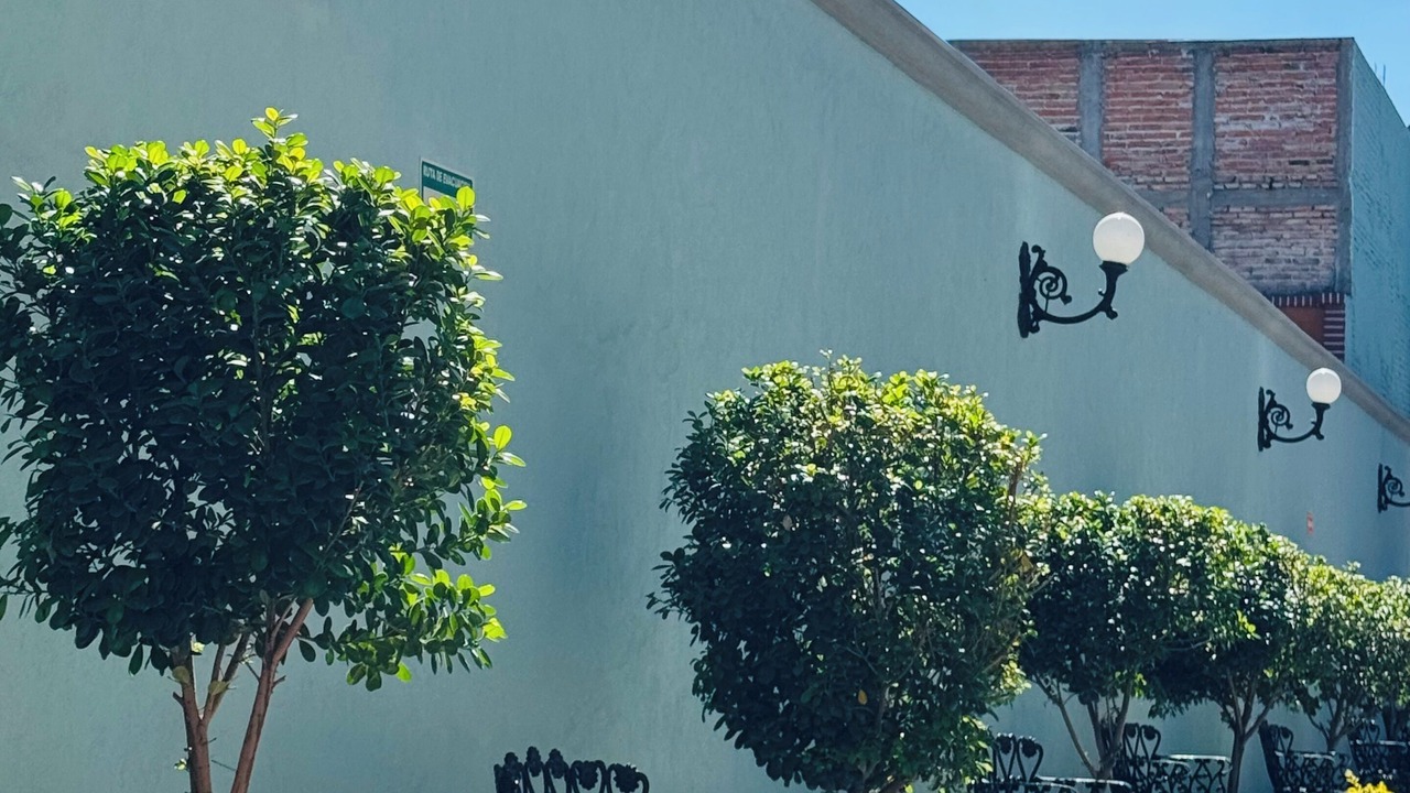 Photo of Outdoor in Lagos de Moreno