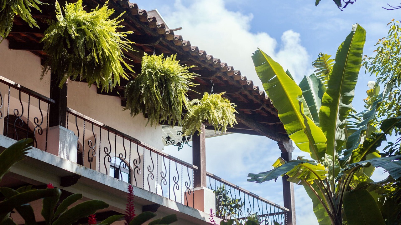Photo of Outdoor in Taxisco
