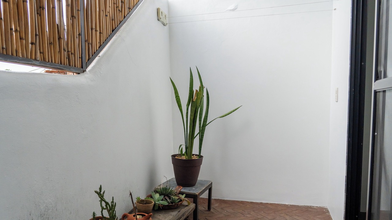Photo of Outdoor in Oaxaca