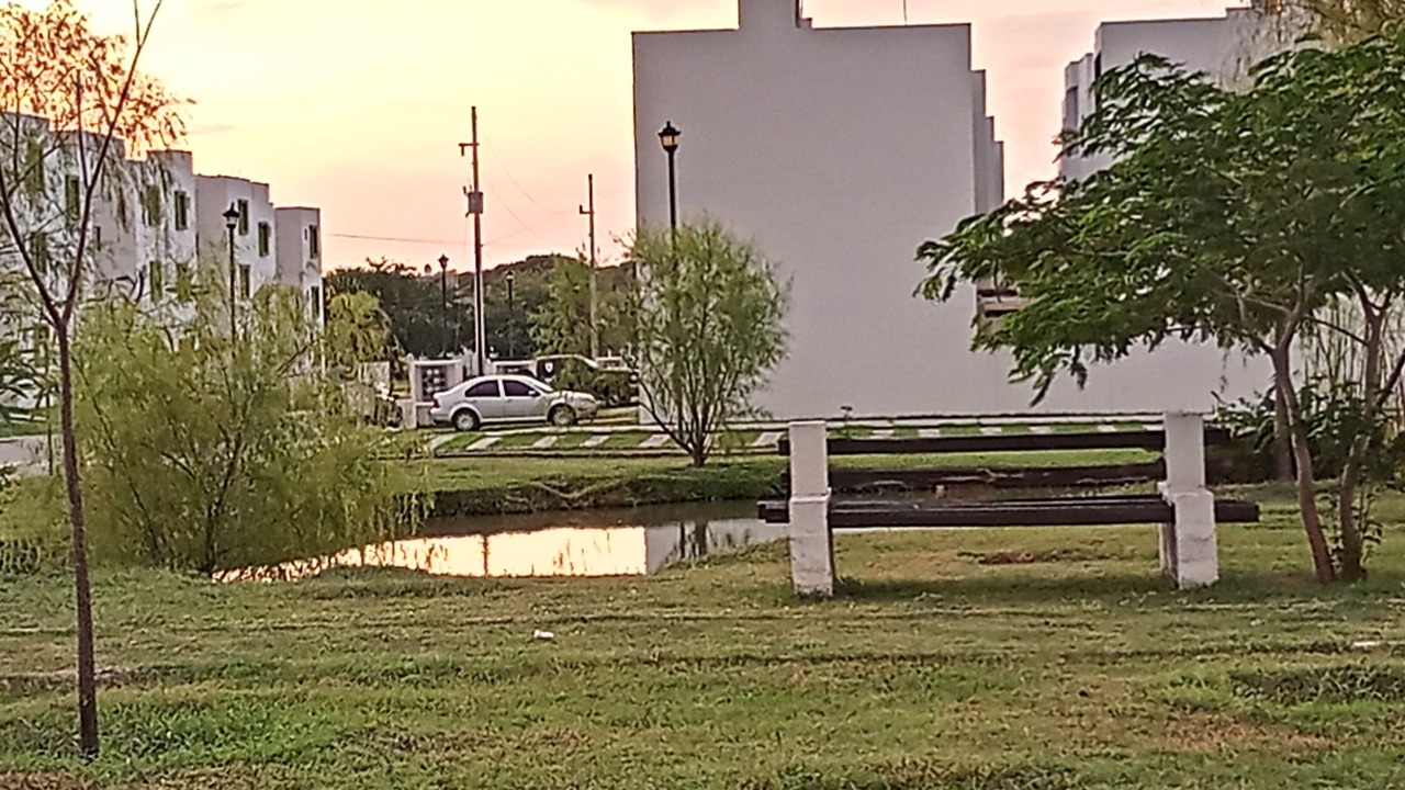 Photo of Outdoor in Las Mojoneras