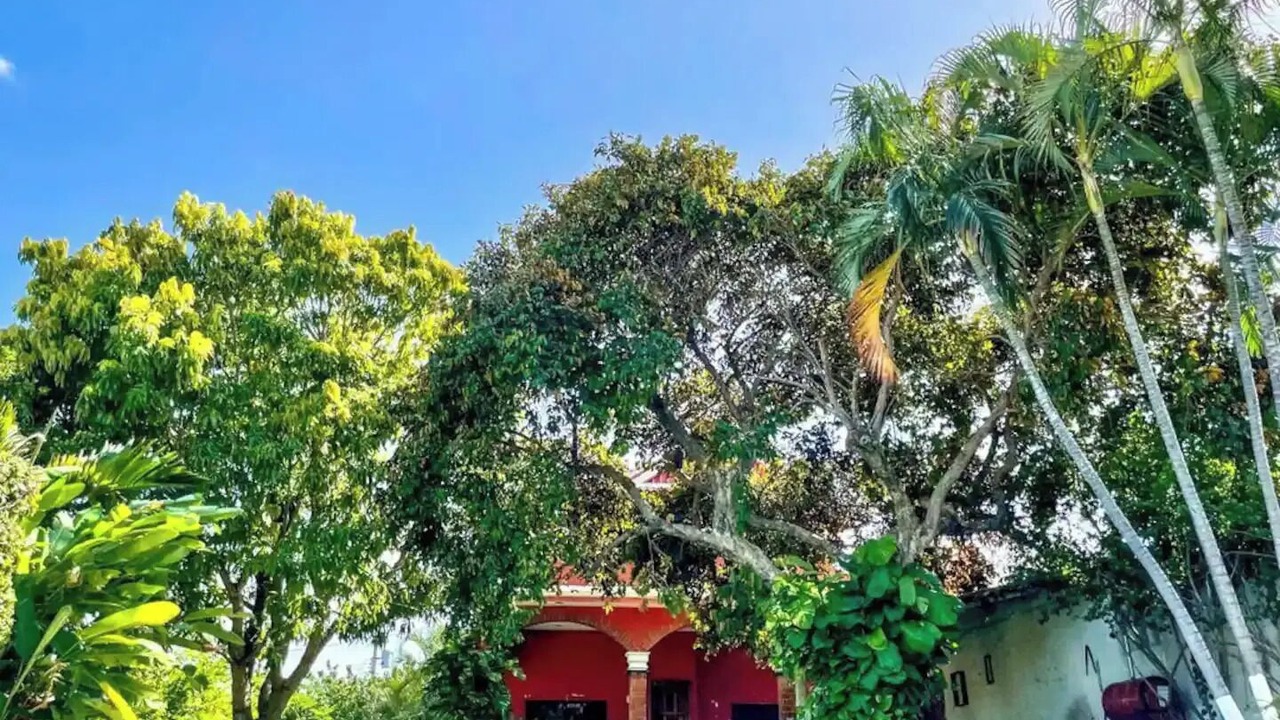 Photo of Outdoor in Campeche