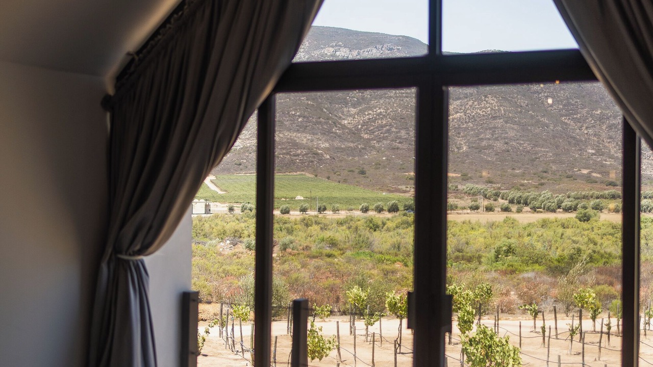 Photo of Bedroom in Valle de Guadalupe