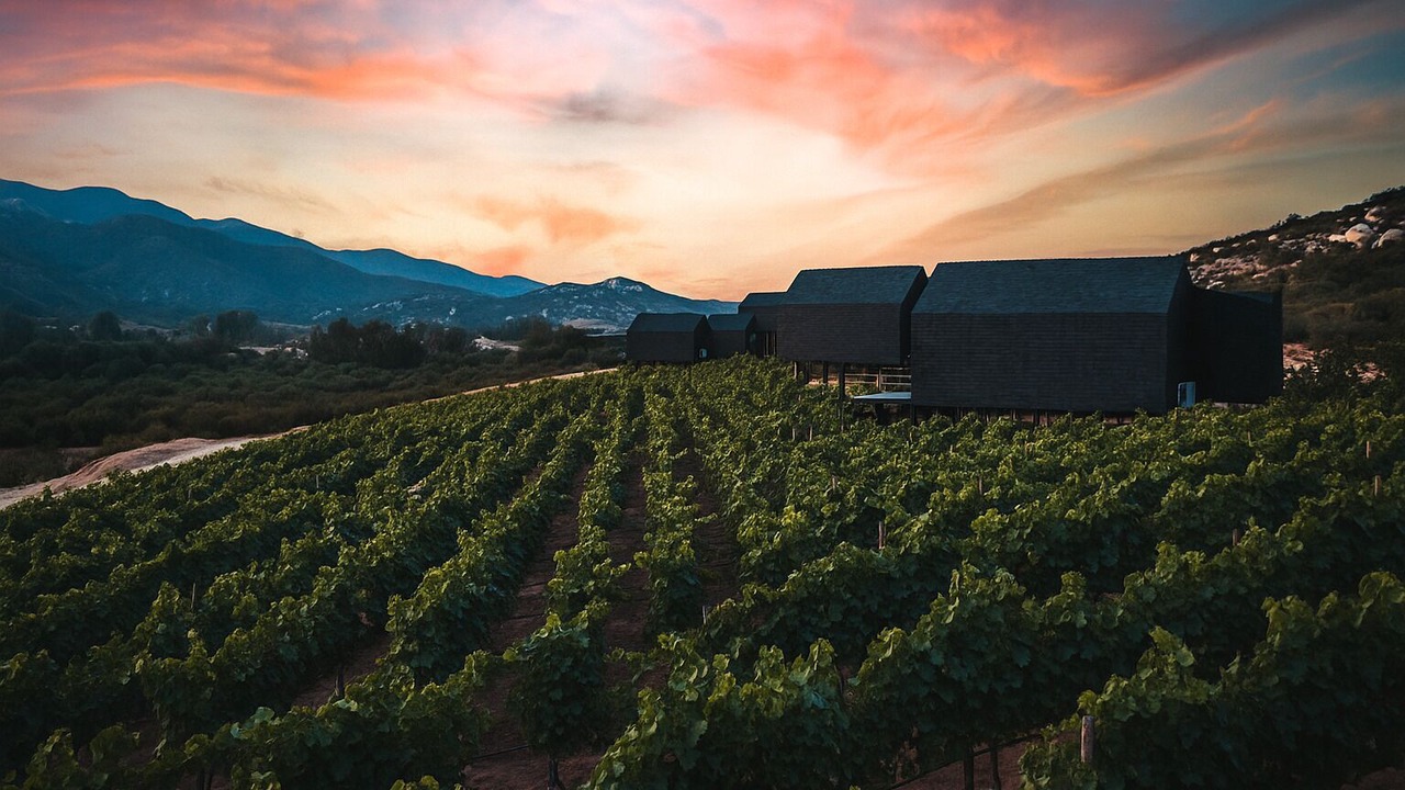 Photo of Outdoor in Valle de Guadalupe