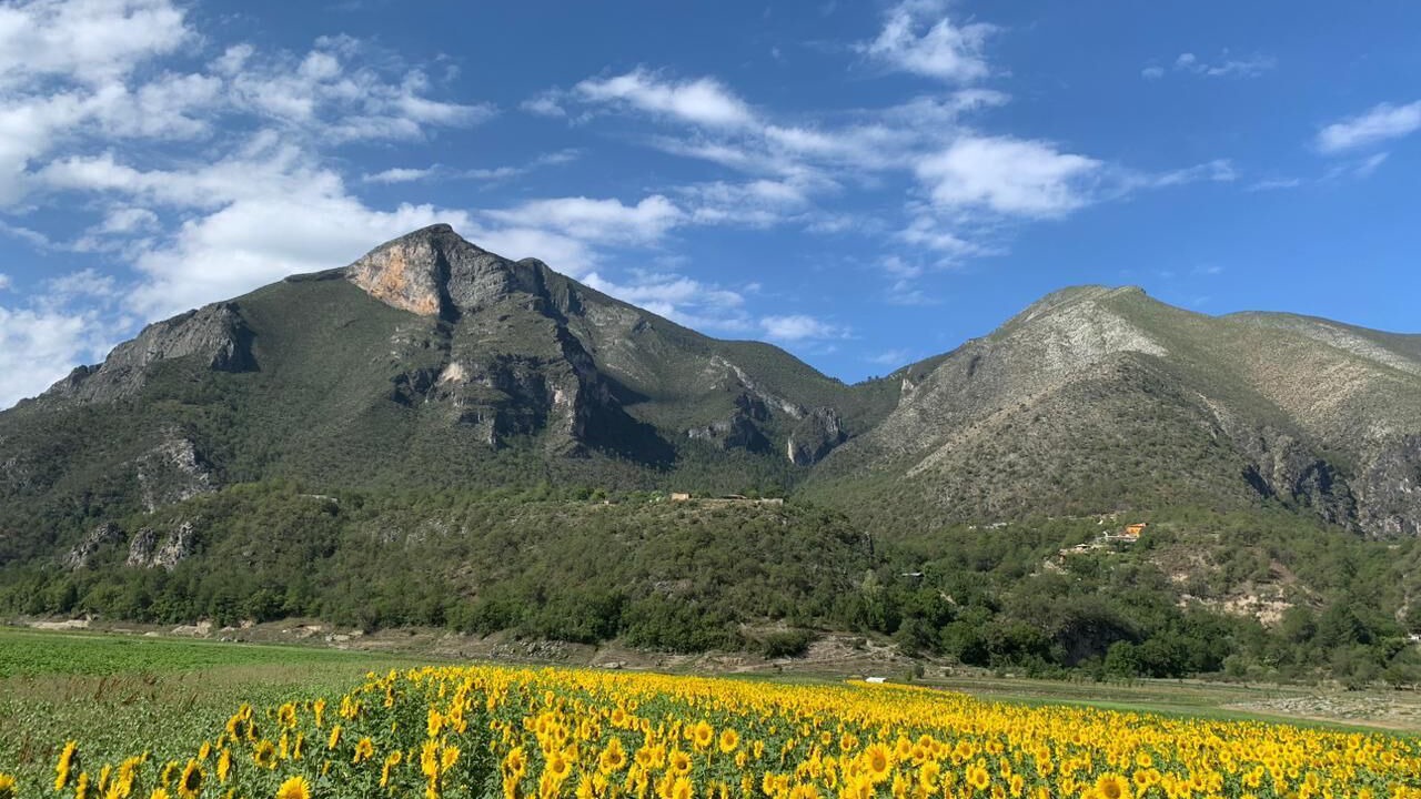 Photo of Others in Monterrey
