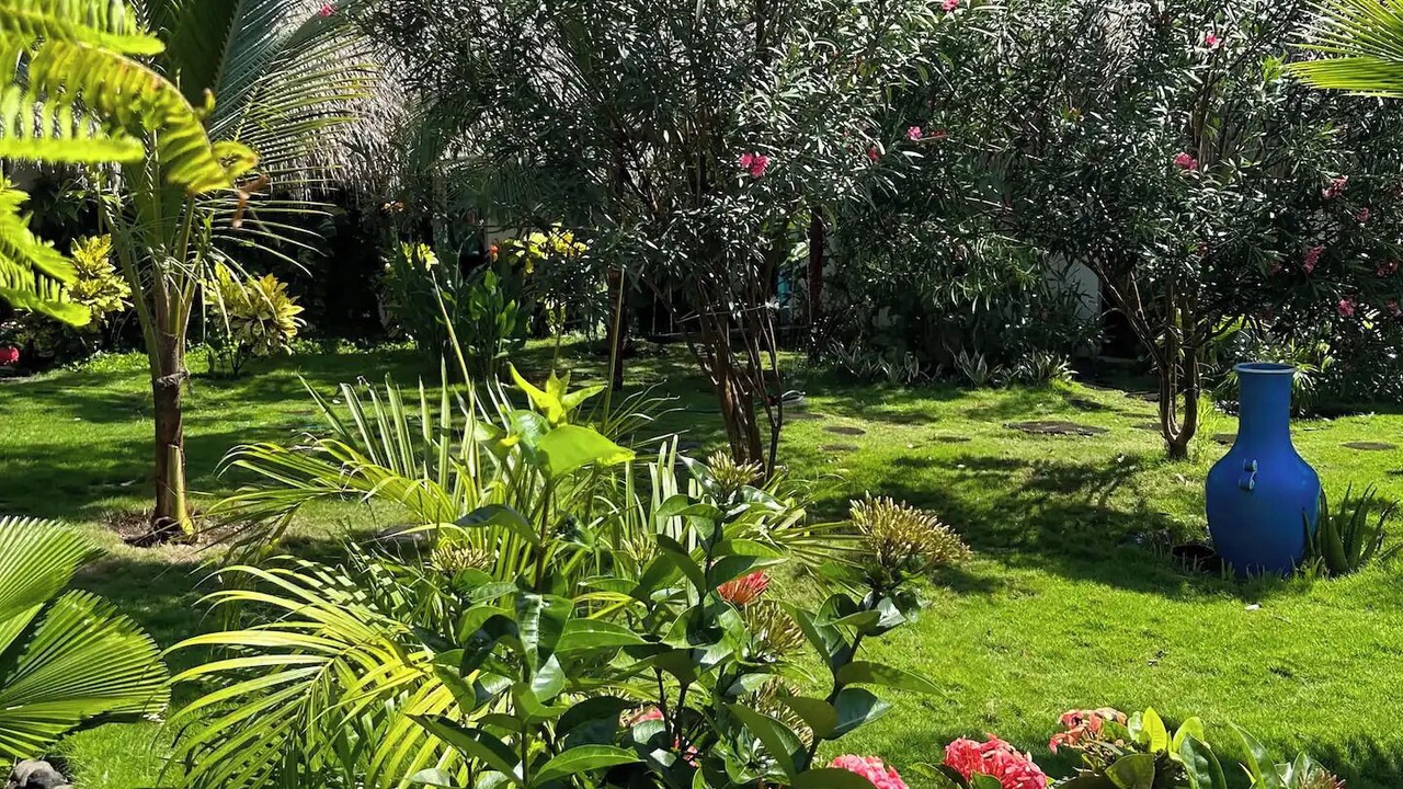 Photo of Outdoor in El Paredon