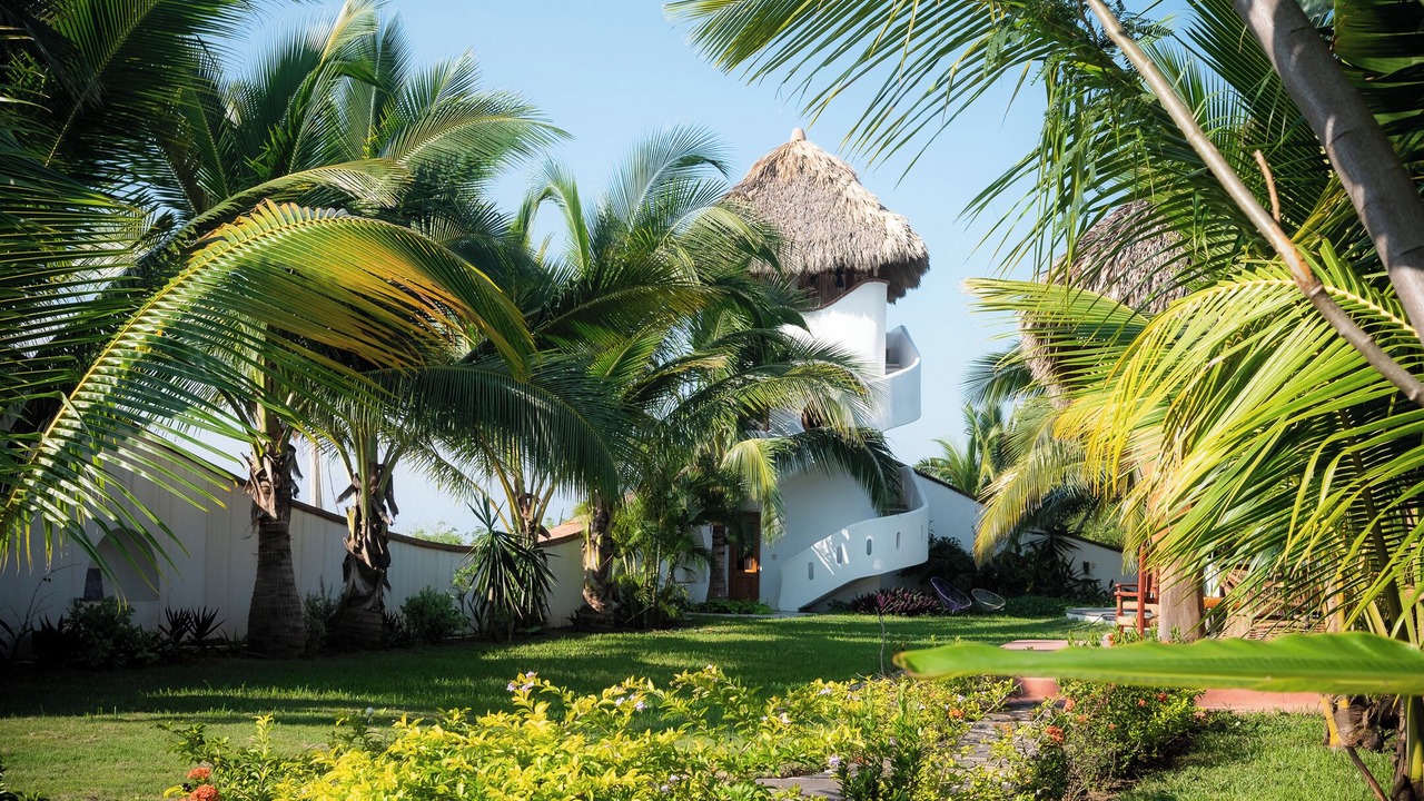 Photo of Outdoor in Troncones