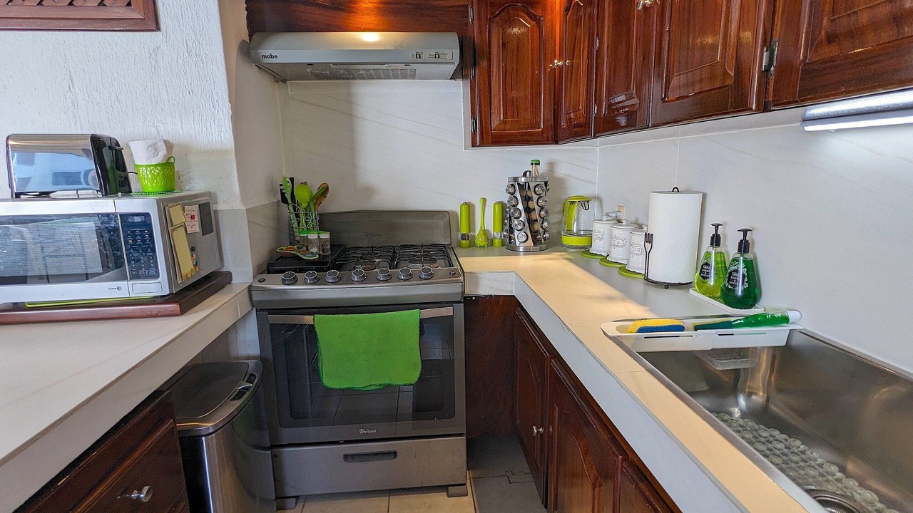 Photo of Kitchen in Palmar de Aramara