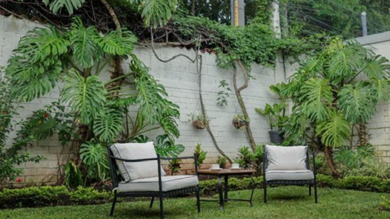 Photo of Outdoor in Zona 13