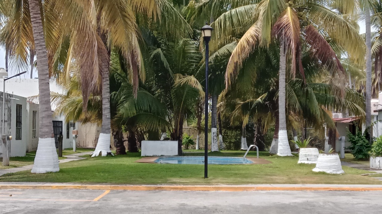 Photo of Others in San Jose Ixtapa