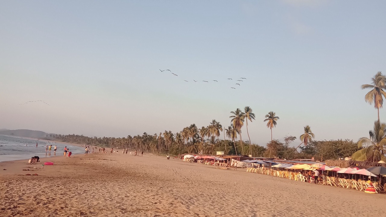 Photo of Others in San Jose Ixtapa