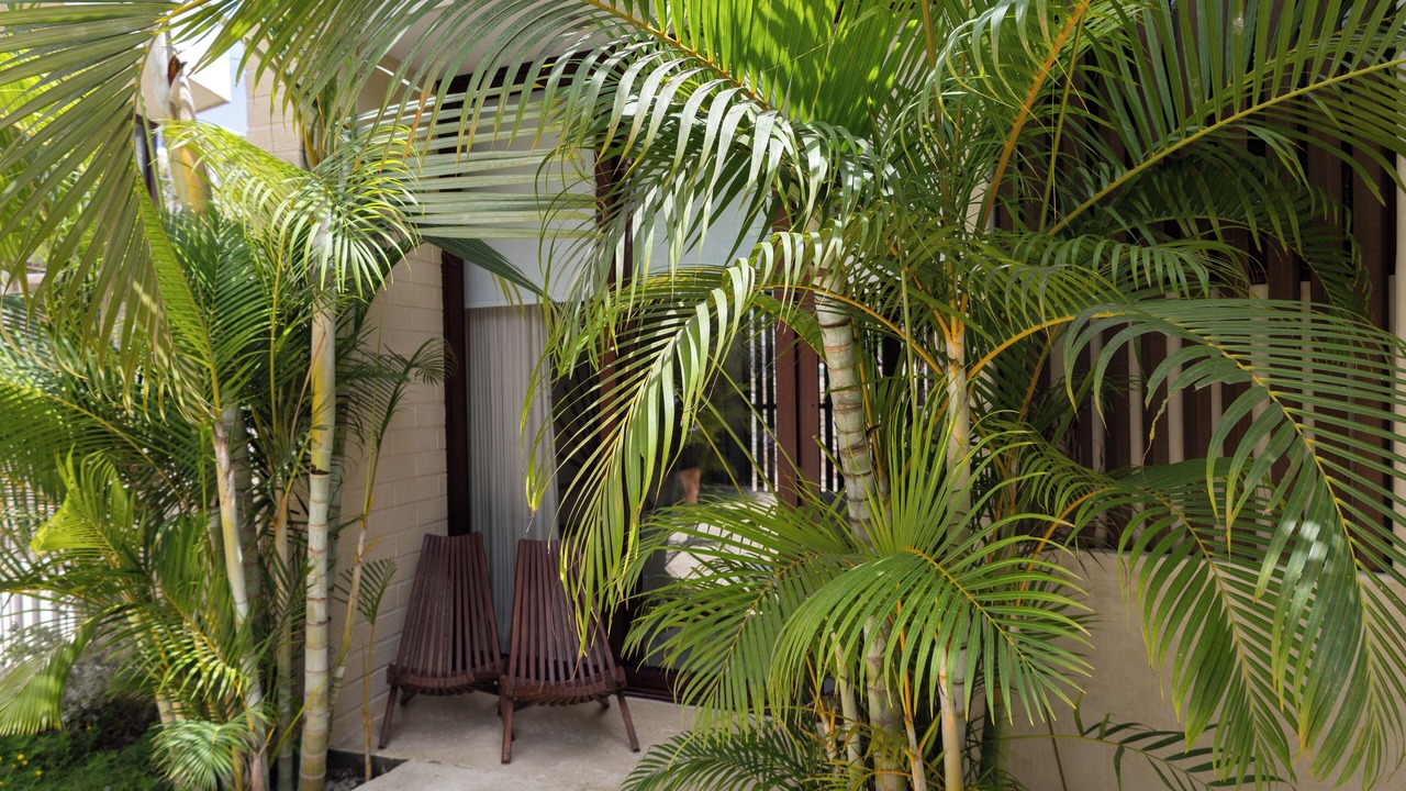 Photo of Patio Balcony in Sayulita