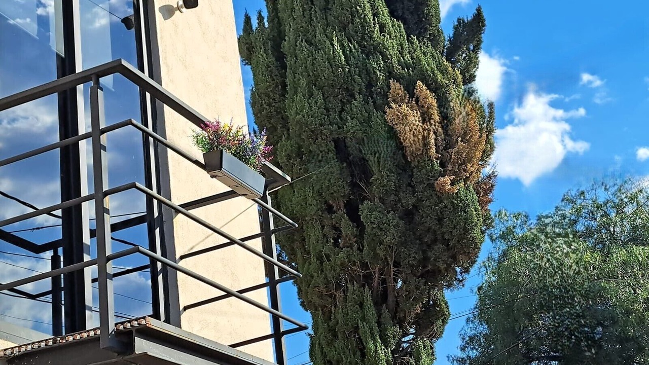 Photo of Patio Balcony in Ciudad Lopez Mateos