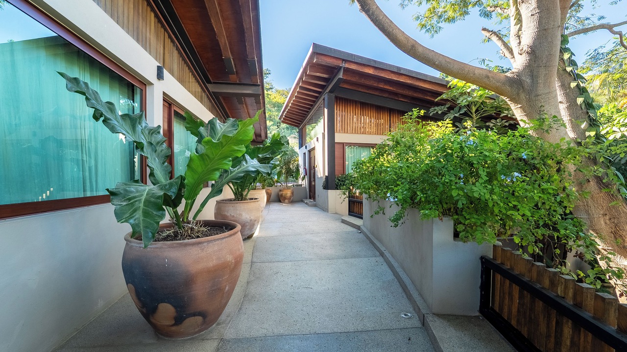 Photo of Outdoor in Sayulita