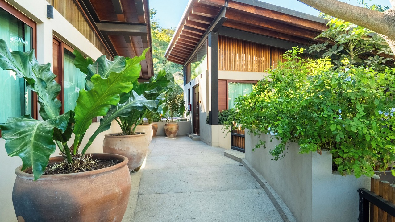 Photo of Outdoor in Sayulita