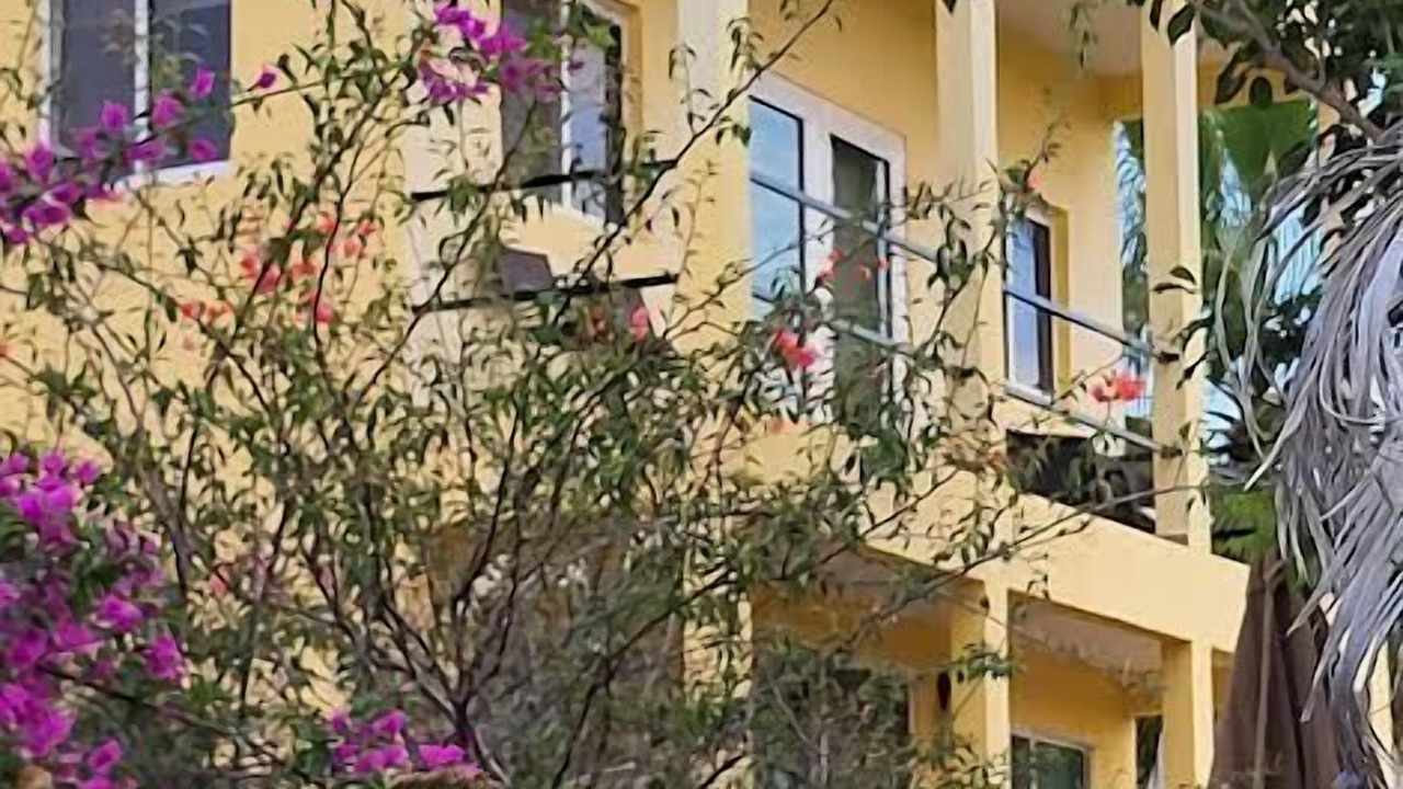 Photo of Outdoor in Todos Santos