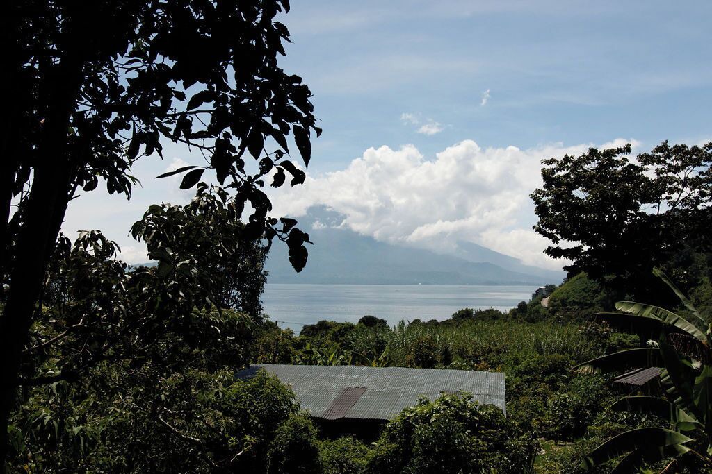 Photo of Patio Balcony in Tzununa