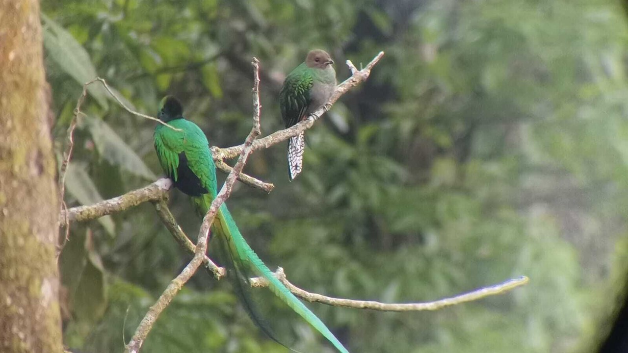 Photo of Outdoor in Santiago Atitlan