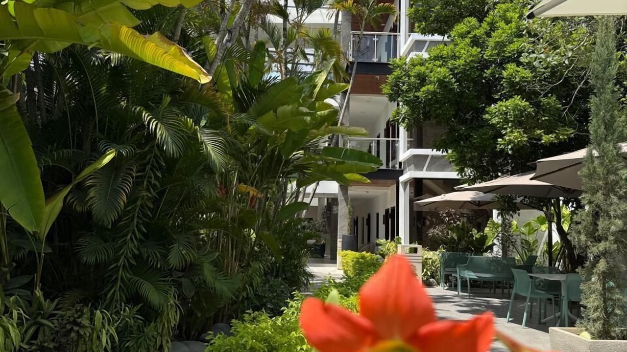 Photo of Outdoor in Flores