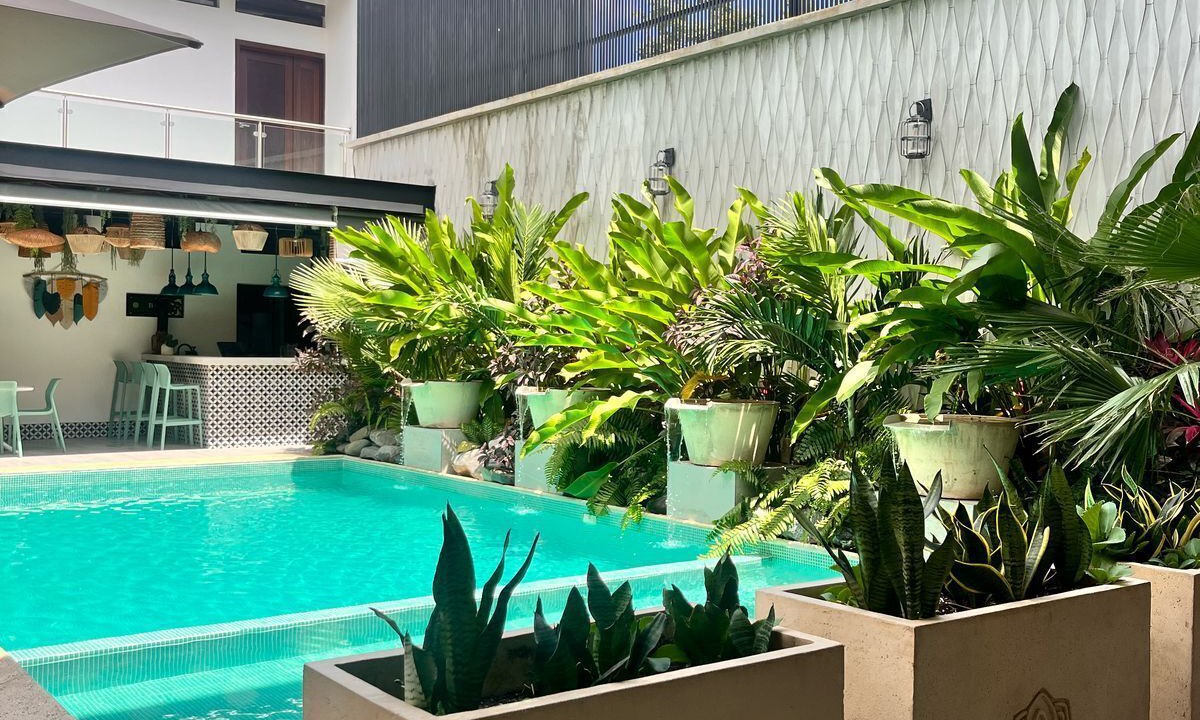 Photo of Outdoor in Flores