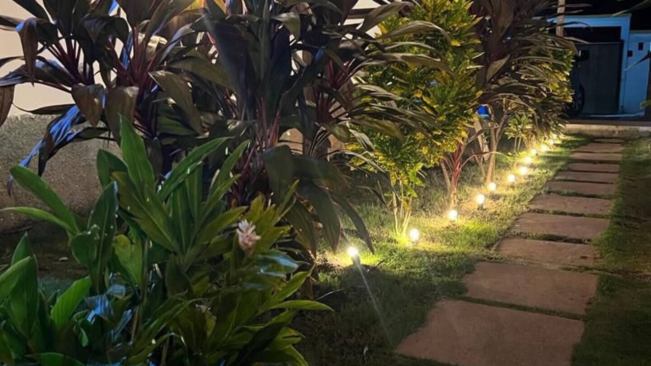 Photo of Outdoor in El Paredon