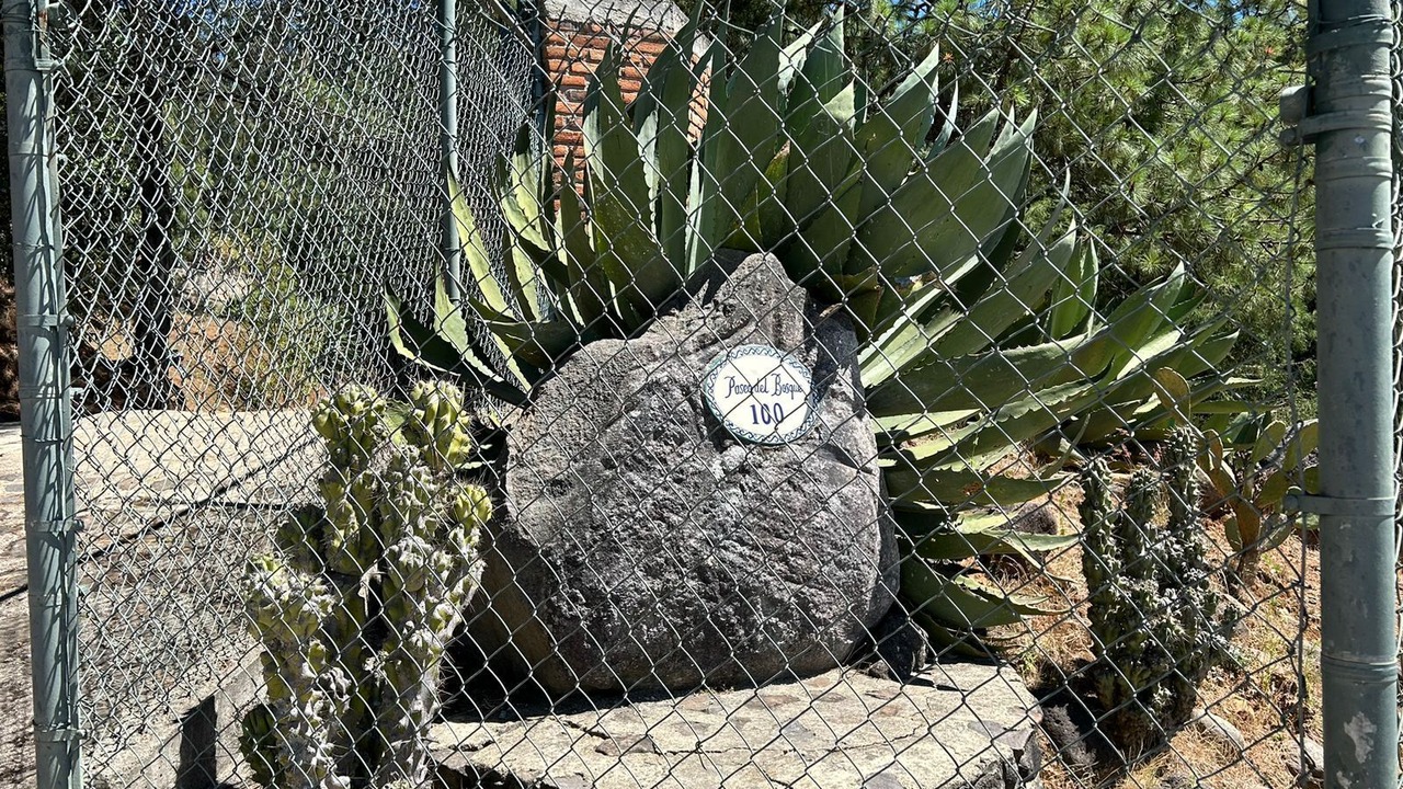 Photo of Outdoor in Mazamitla