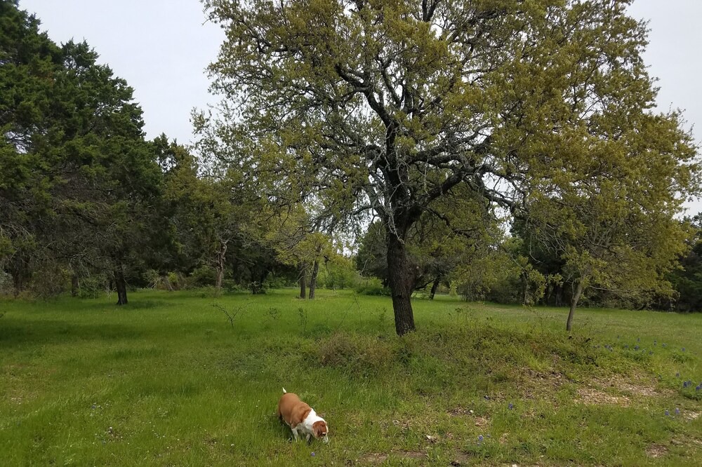 Photo of Outdoor in Moody
