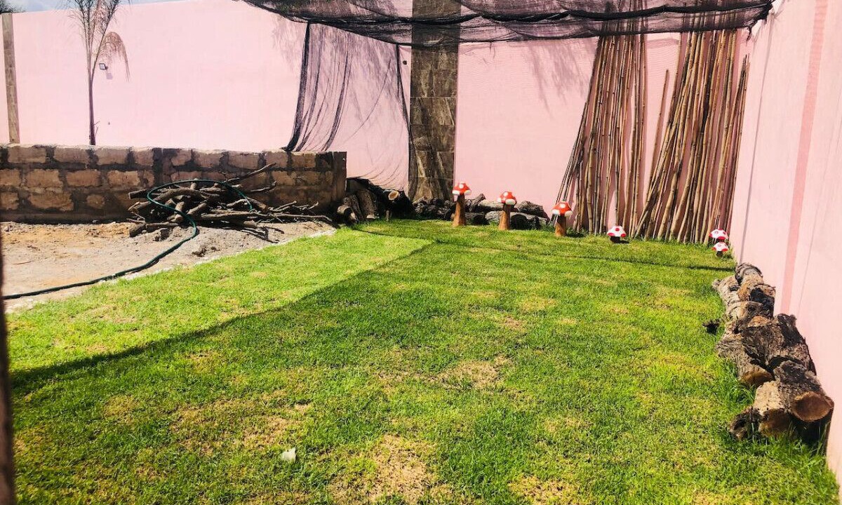 Photo of Outdoor in Matehuala