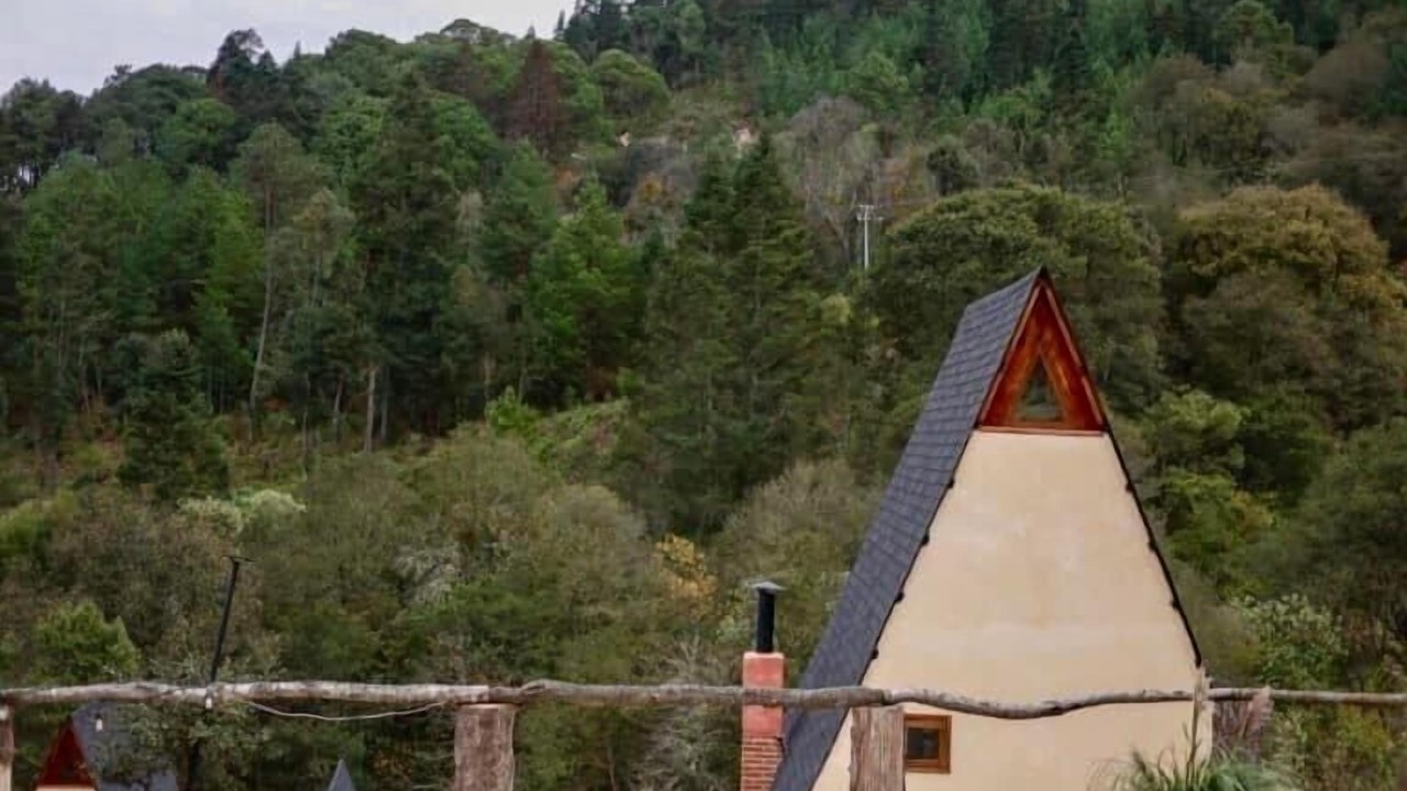 Photo of Outdoor in Hidalgo