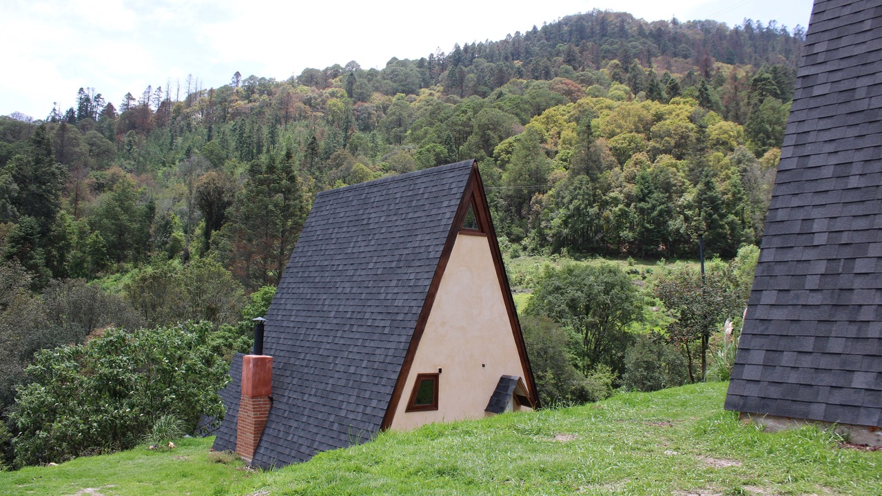 Photo of Outdoor in Hidalgo
