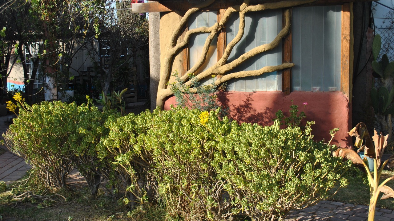 Photo of Outdoor in San Sebastian Xolalpa
