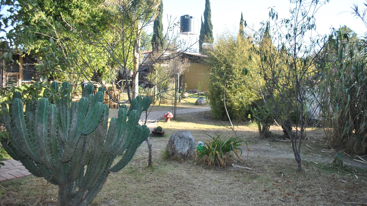 Photo of Others in San Sebastian Xolalpa