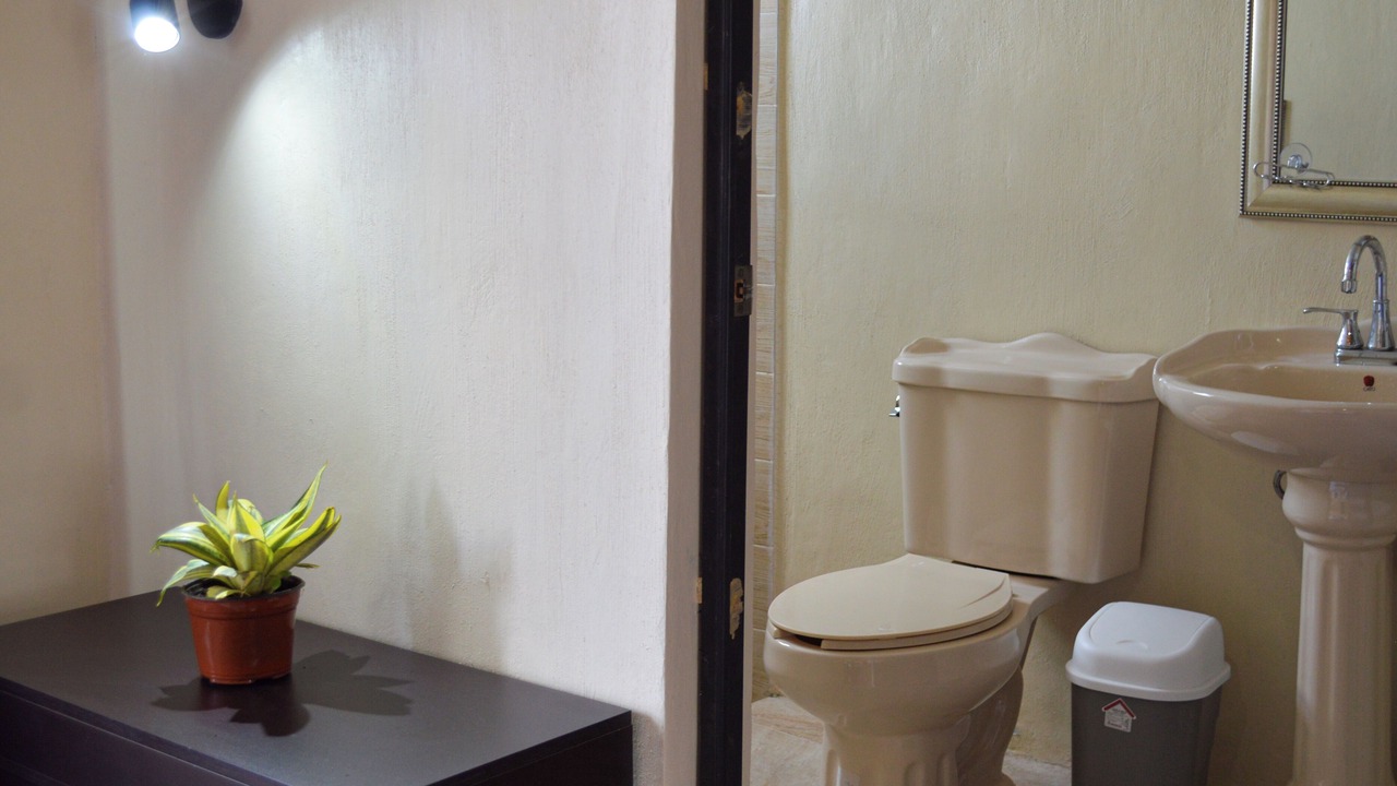 Photo of Others in San Cristobal de las Casas