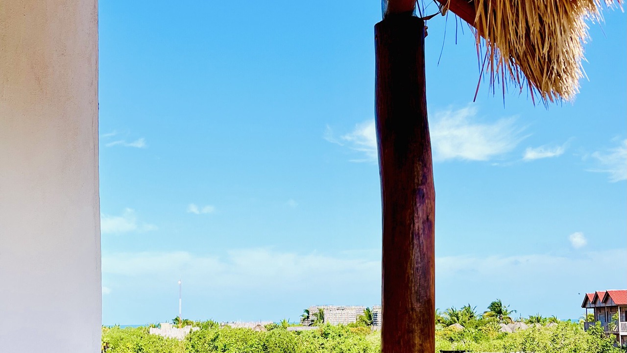 Photo of Others in Isla Holbox