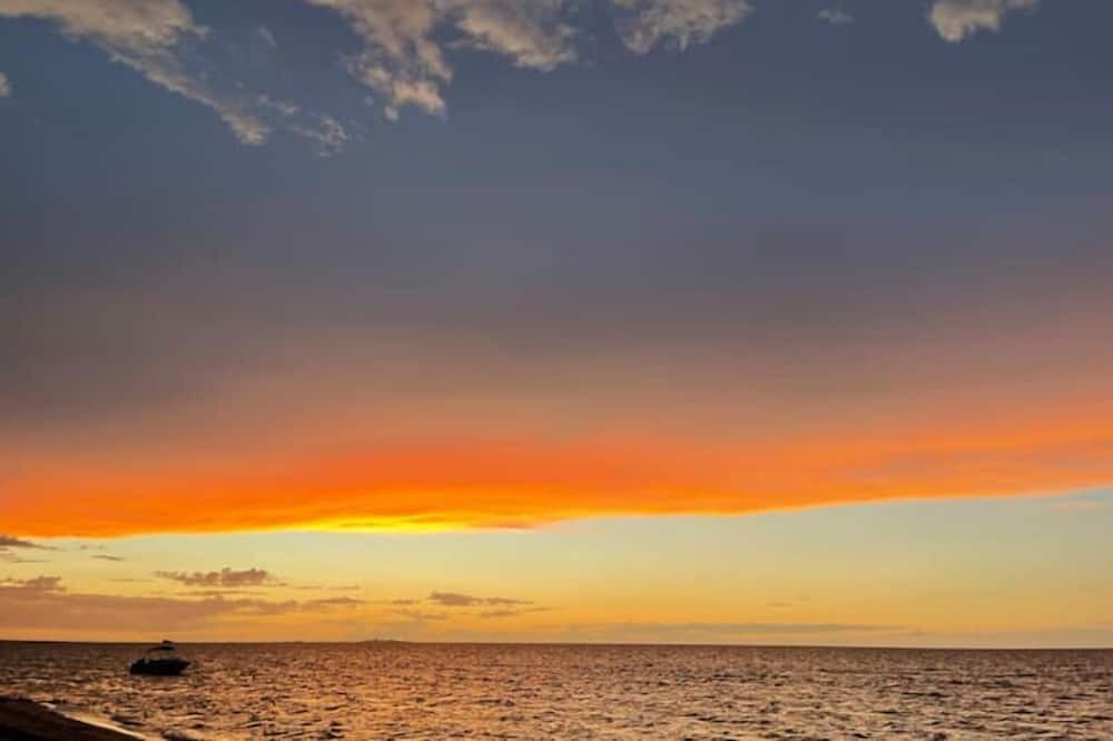 Photo of Others in Chicxulub Puerto