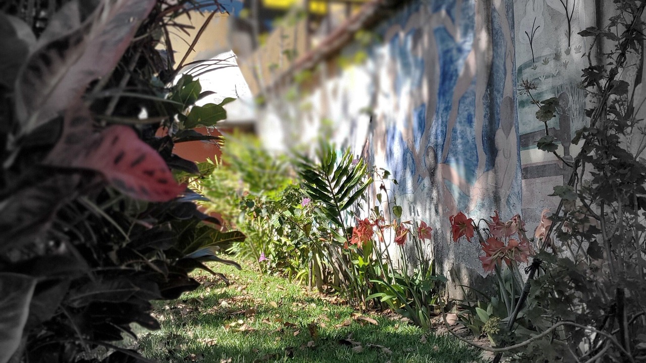 Photo of Outdoor in Jaibalito