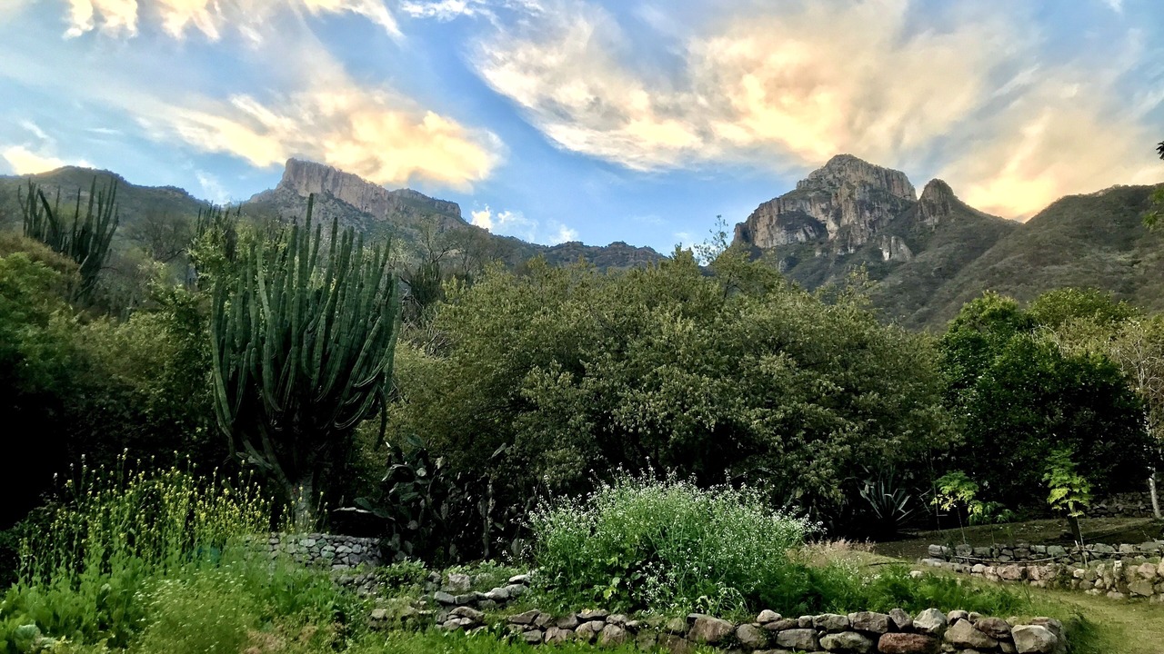 Photo of Outdoor in Urique