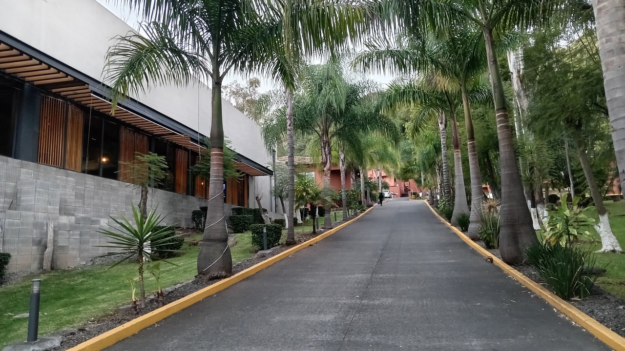 Photo of Outdoor in Vista Bella