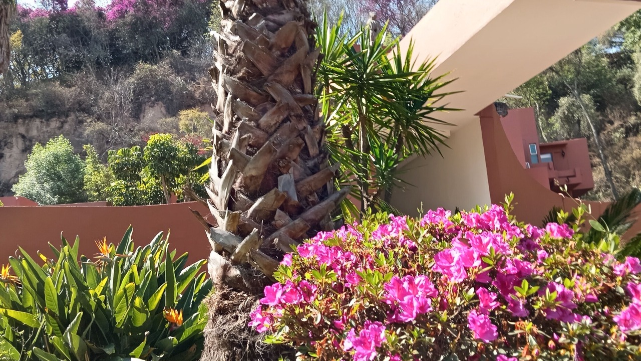 Photo of Outdoor in Vista Bella