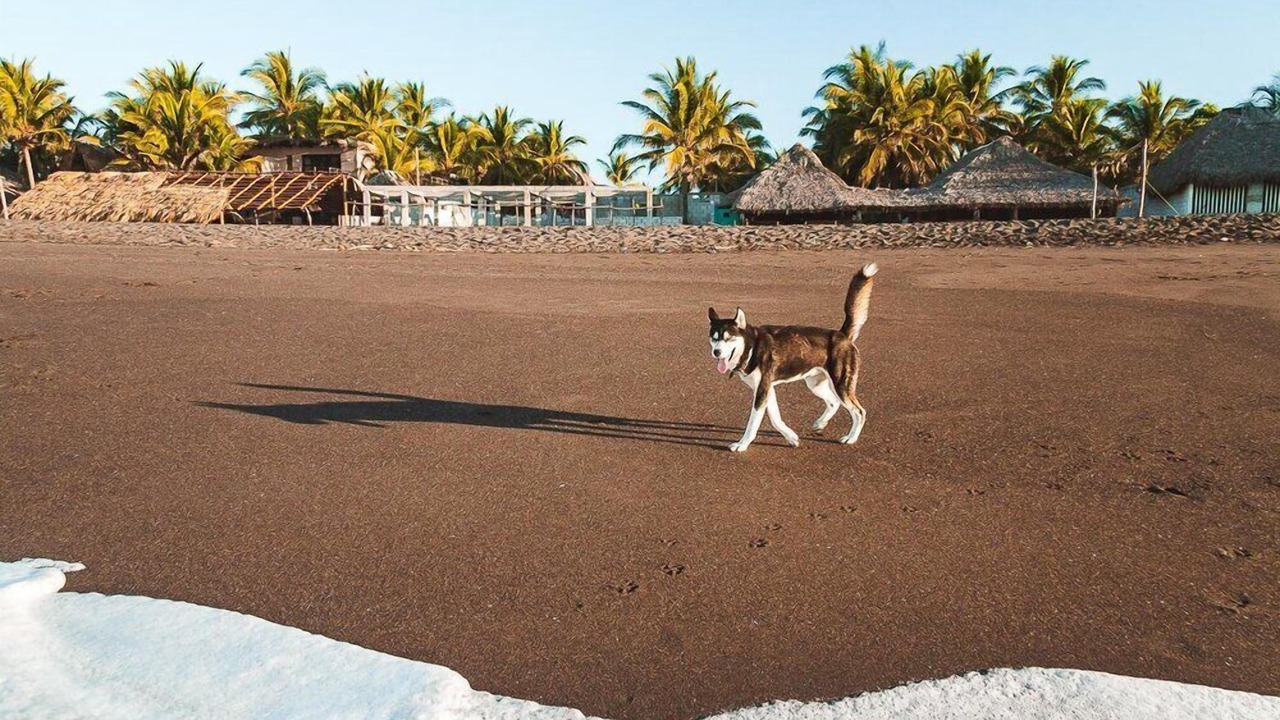 Photo of Others in Monterrico