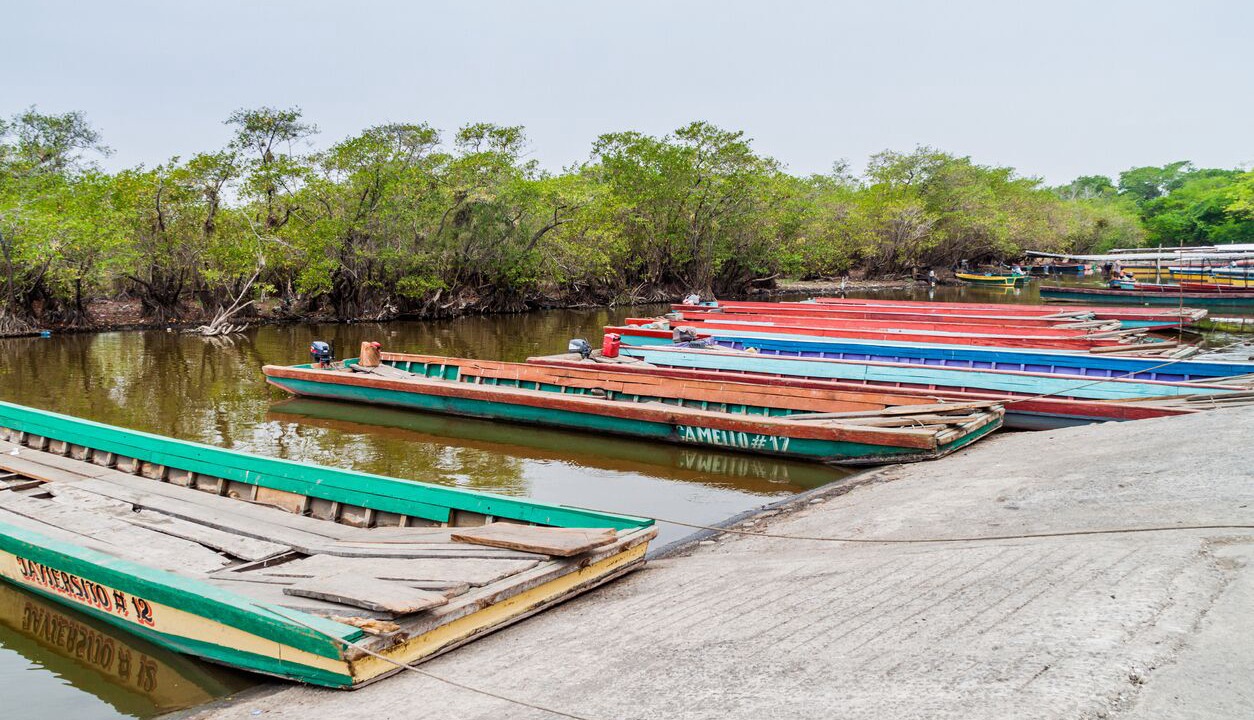 Photo of Others in Monterrico