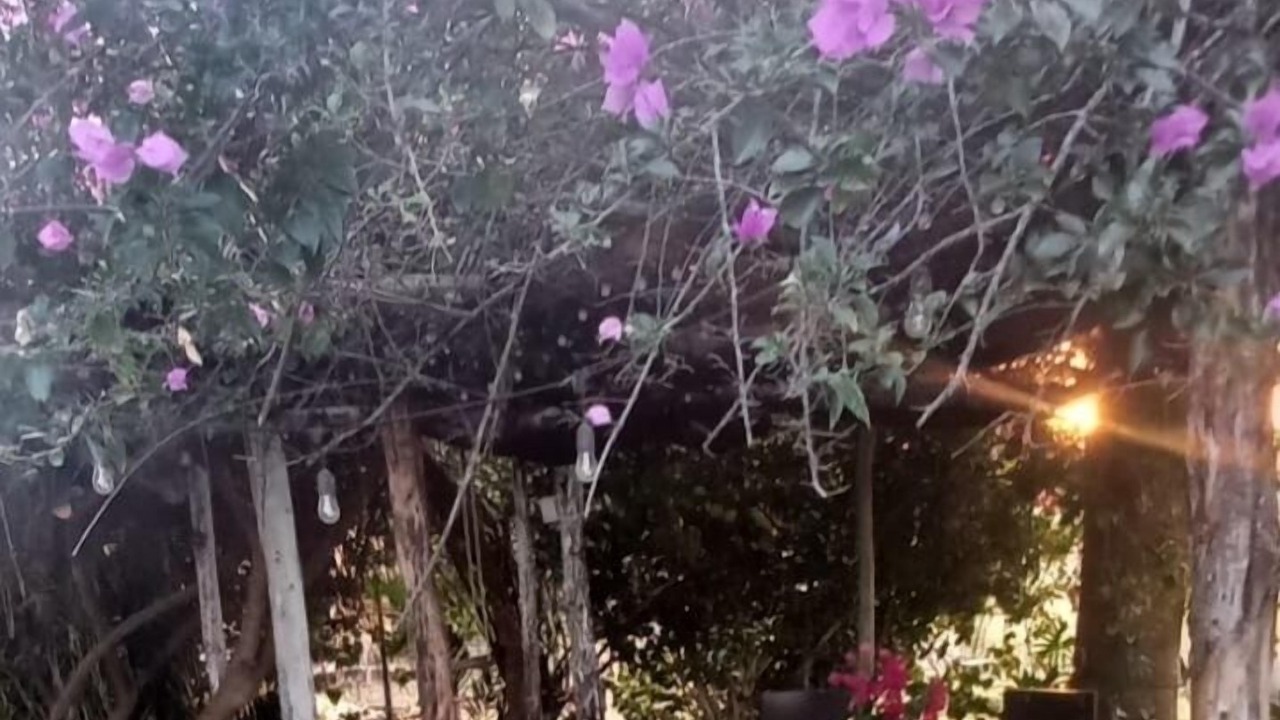 Photo of Outdoor in Izamal