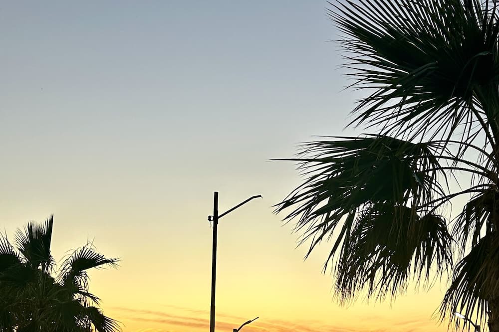 Photo of Outdoor in Golfo de Santa Clara
