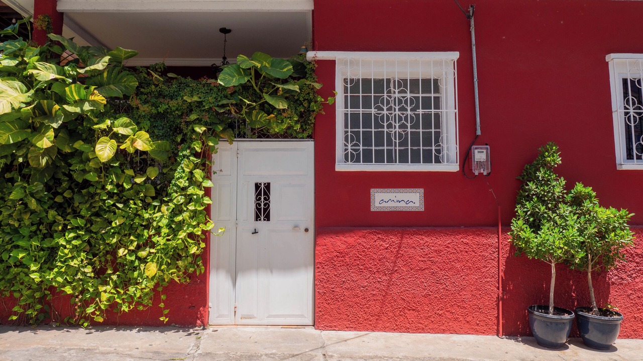 Photo of Outdoor in Flores