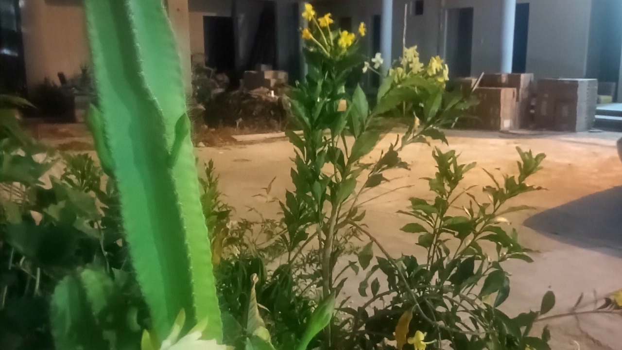 Photo of Outdoor in Valladolid
