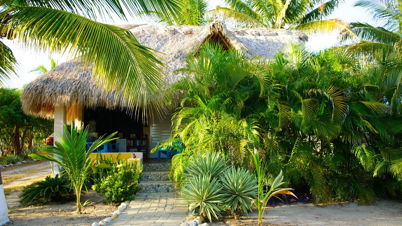 Photo of Outdoor in Santa Maria Tonameca